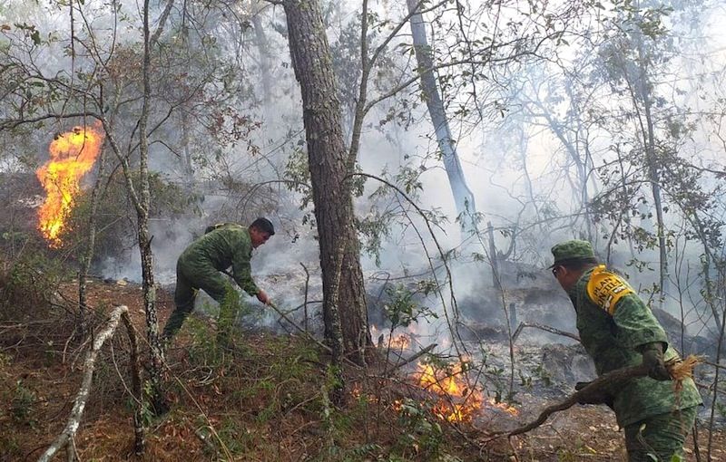 Aplican Plan DN III E por incendios en Querétaro Durango y Tabas