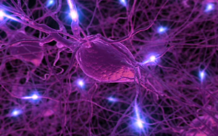 Científicos consiguen regular síntomas de ELA, enfermedad neurodegenerativa