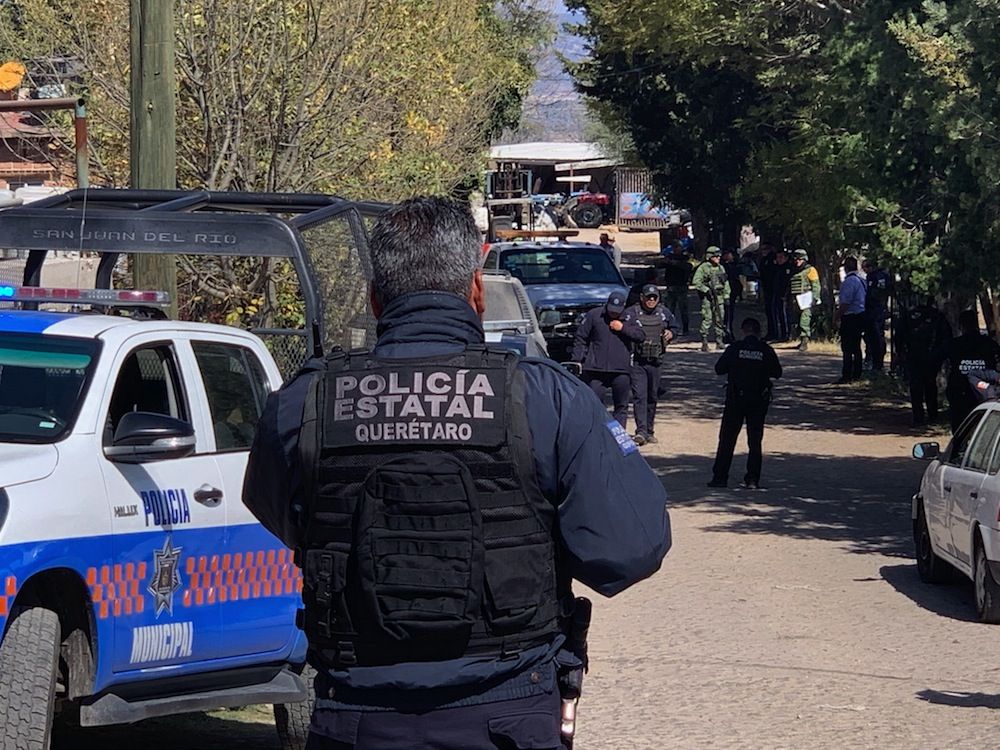 Golpe a deshuesaderos de Loma Linda, en San Juan del Río