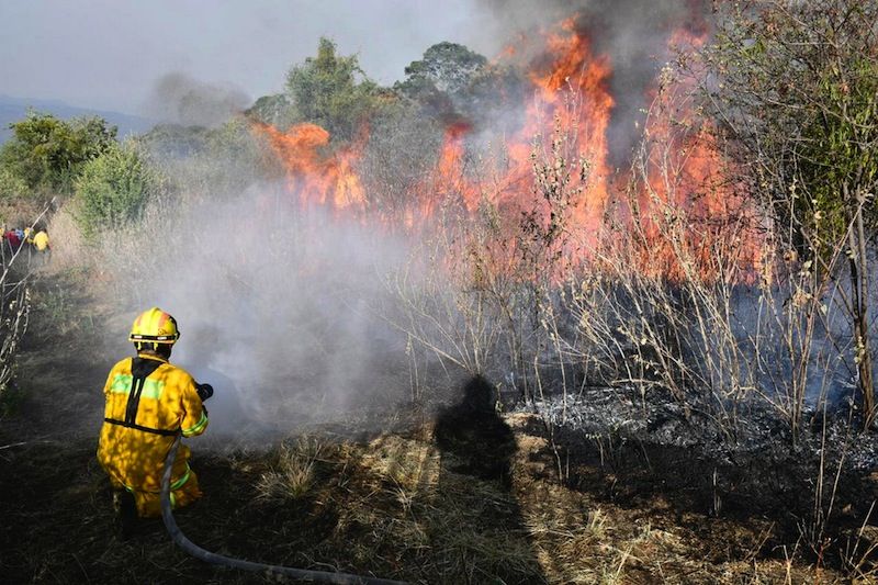 Combaten Via Aerea Y Terrestre Incendio Forestal En Santa Catarina Nl Rotativo De Queretaro