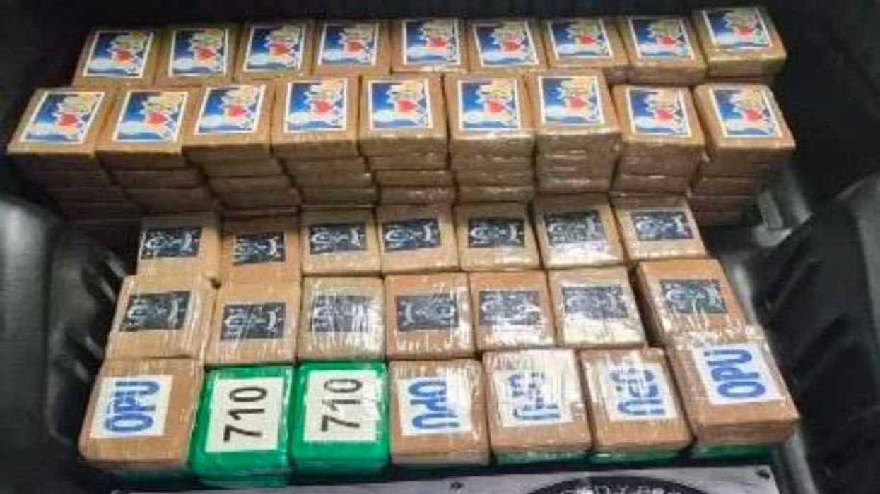 217 paquetes de cocaína asegurados en doble fondo de camioneta en Tlalpan, Ciudad de México