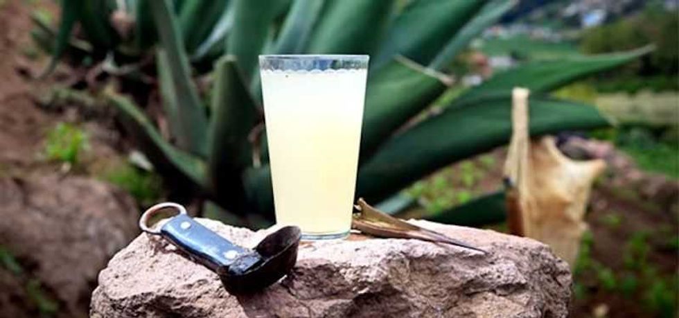 3tlaxcala impulsa ruta haciendas pulqueras opcion turistica