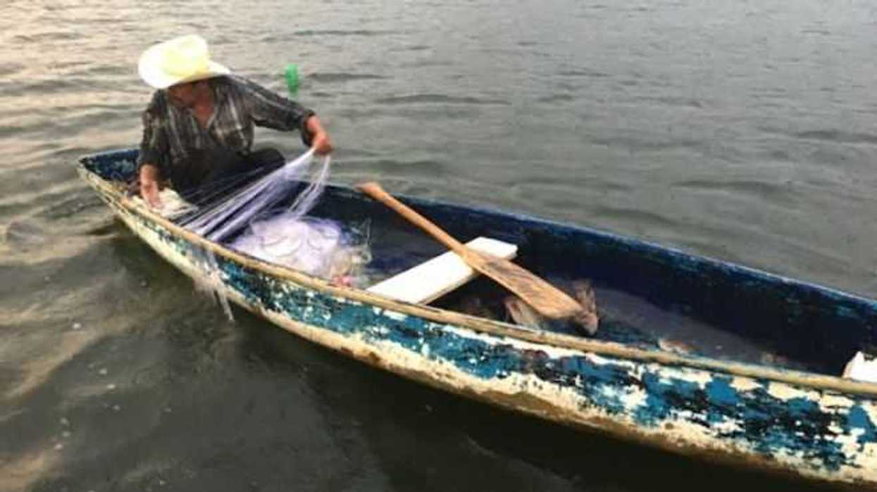 51-mil-toneladas-encabezo-sardina-produccion-pesquera