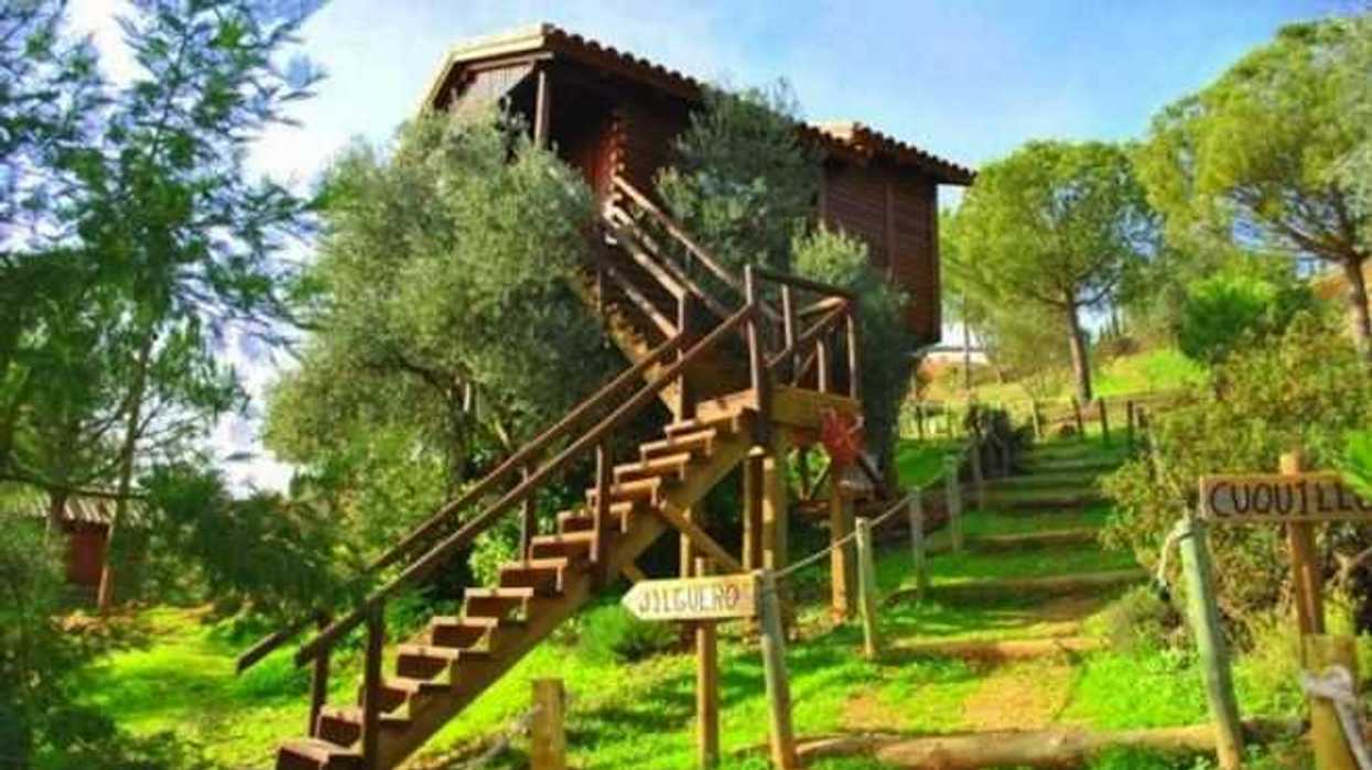 7-casas-rurales-maravillosas-para-dormir-en-los-arboles-7