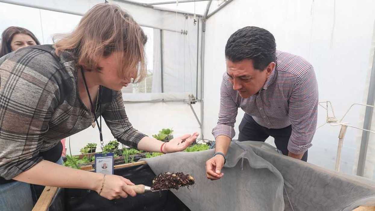 71 273 40747 1298224207 HUERTO 02 29 05