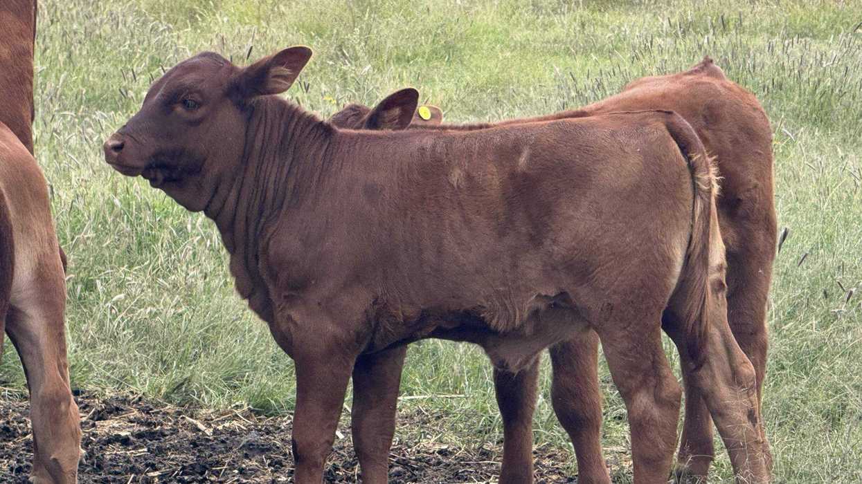 Abre Convocatoria Agropecuaria en San Juan del Río Querétaro.