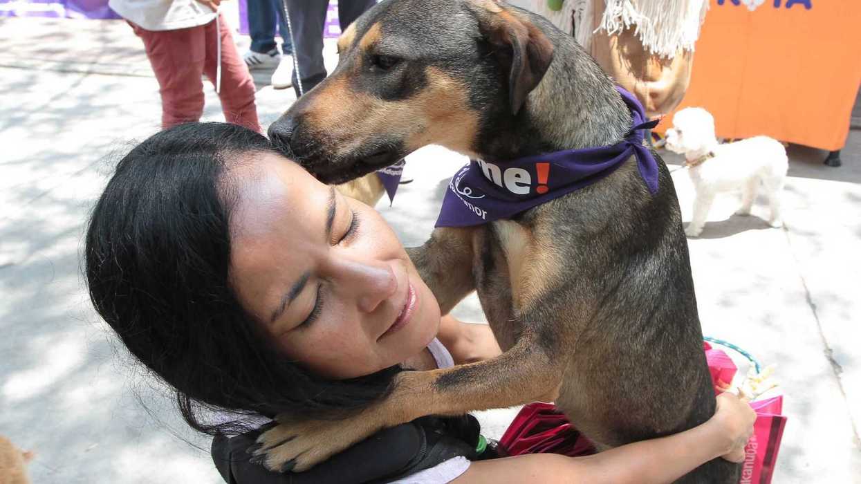 “Adoptatón”. NOTIMEX