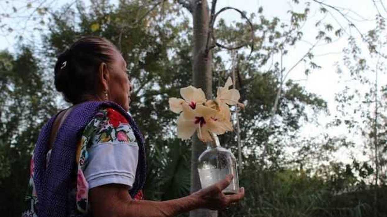 afirman-que-medicina-tradicional-es-una-alternativa-para-zonas-rurales