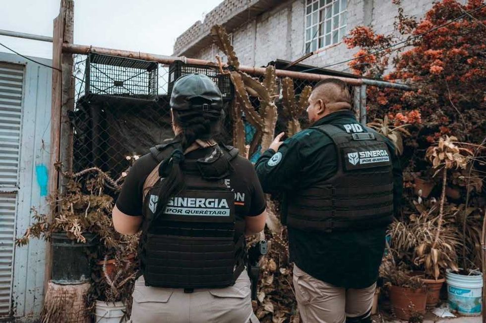 Agentes de la Polic\u00eda de Investigaci\u00f3n del Delito participan en un operativo de cateo como parte de la estrategia Sinergia por Quer\u00e9taro.