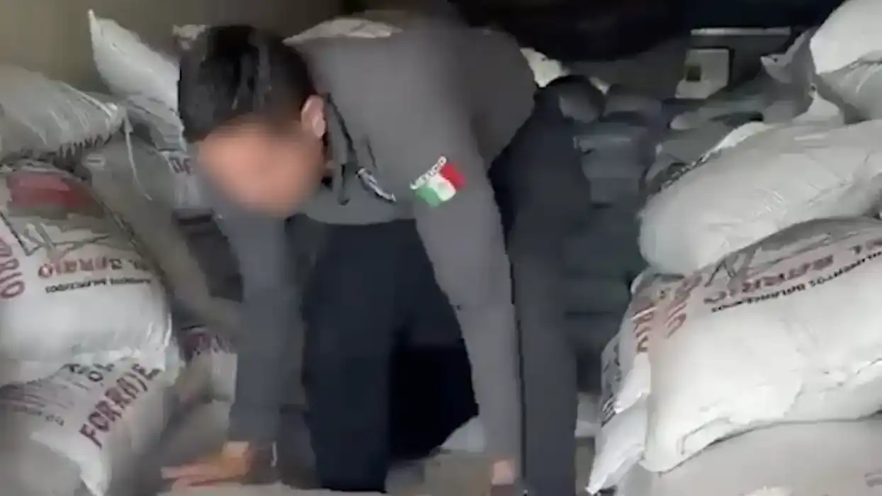 Agentes de seguridad revisan costales de alimento para ganado con metanfetamina oculta en un tractocamión en Sonora