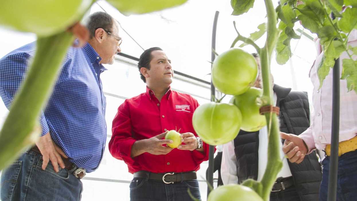 Agro Dagosa.