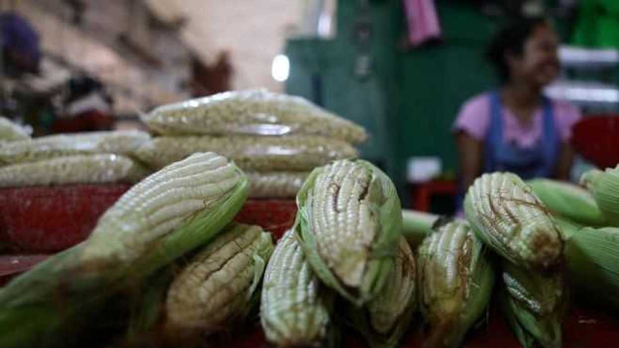 agroalimentacion-efe