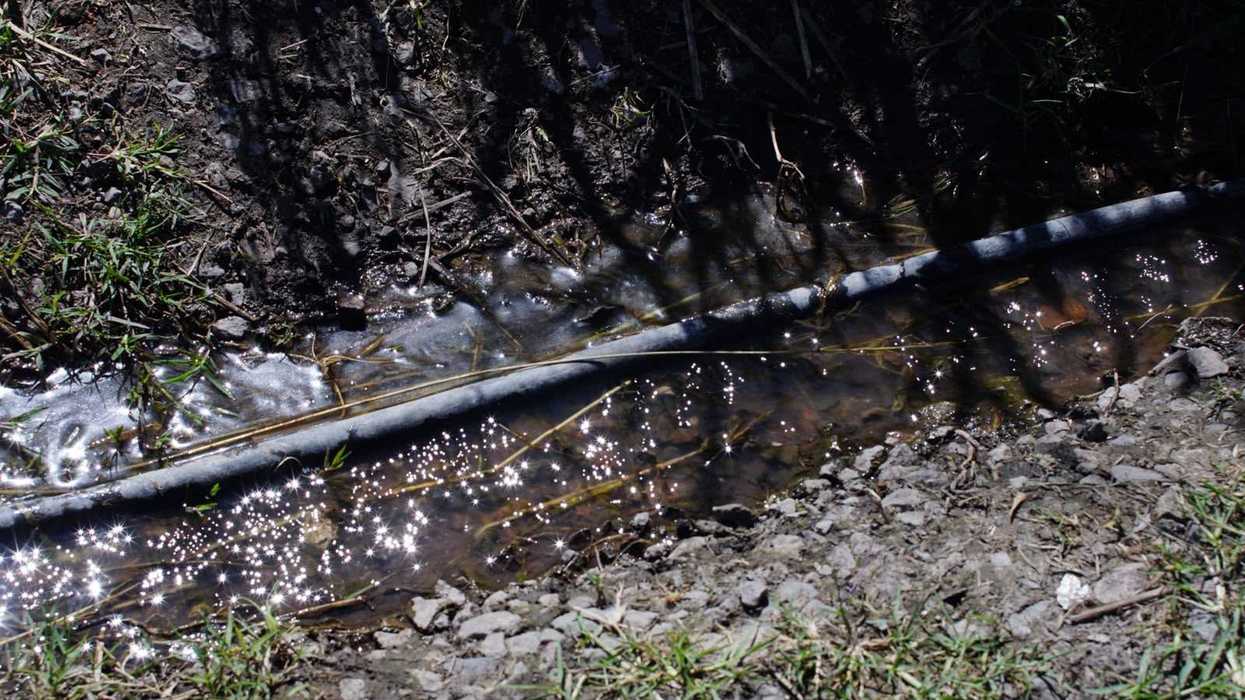 Agua de una fuga escurre por un cauce de tierra y concreto con dos patos en la zona de Río Moctezuma, en San Juan del Río