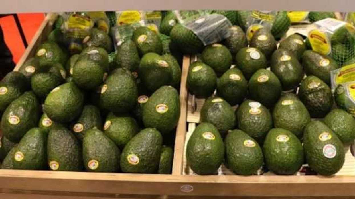 aguacate-mantiene-precio-maximo-85-pesos-en-mercados