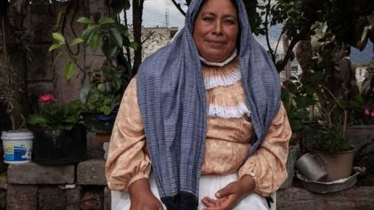 alberta-teresa-jacinta-estado-obligado-disculparse