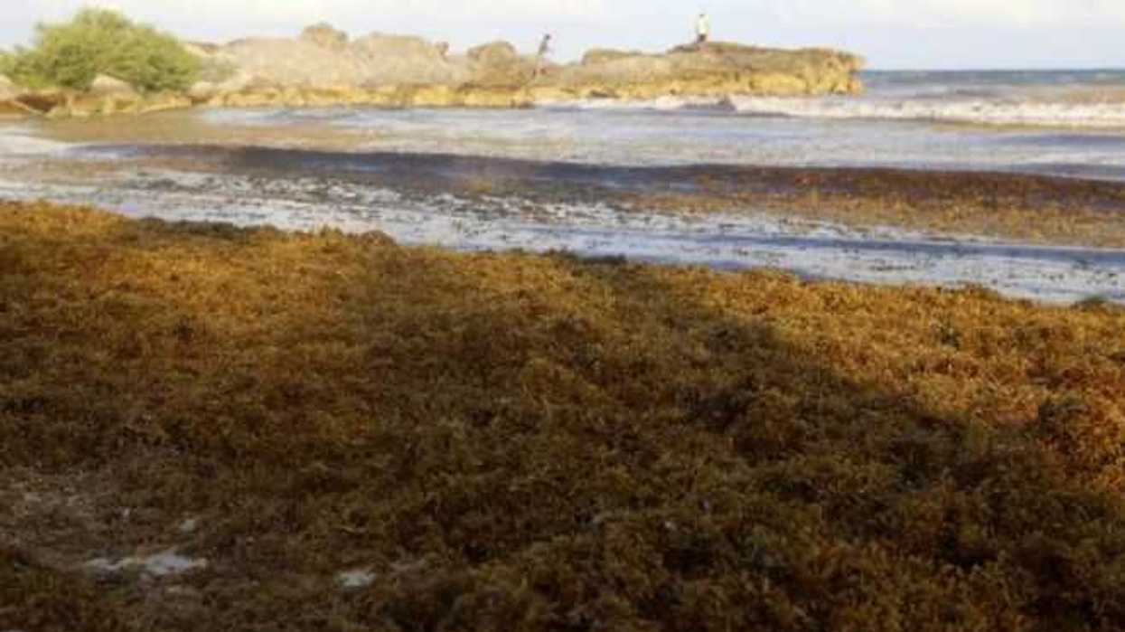 Alerta máxima ambiental en Quintana Roo