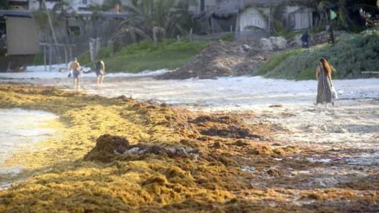 Alerta máxima ambiental en Quintana Roo