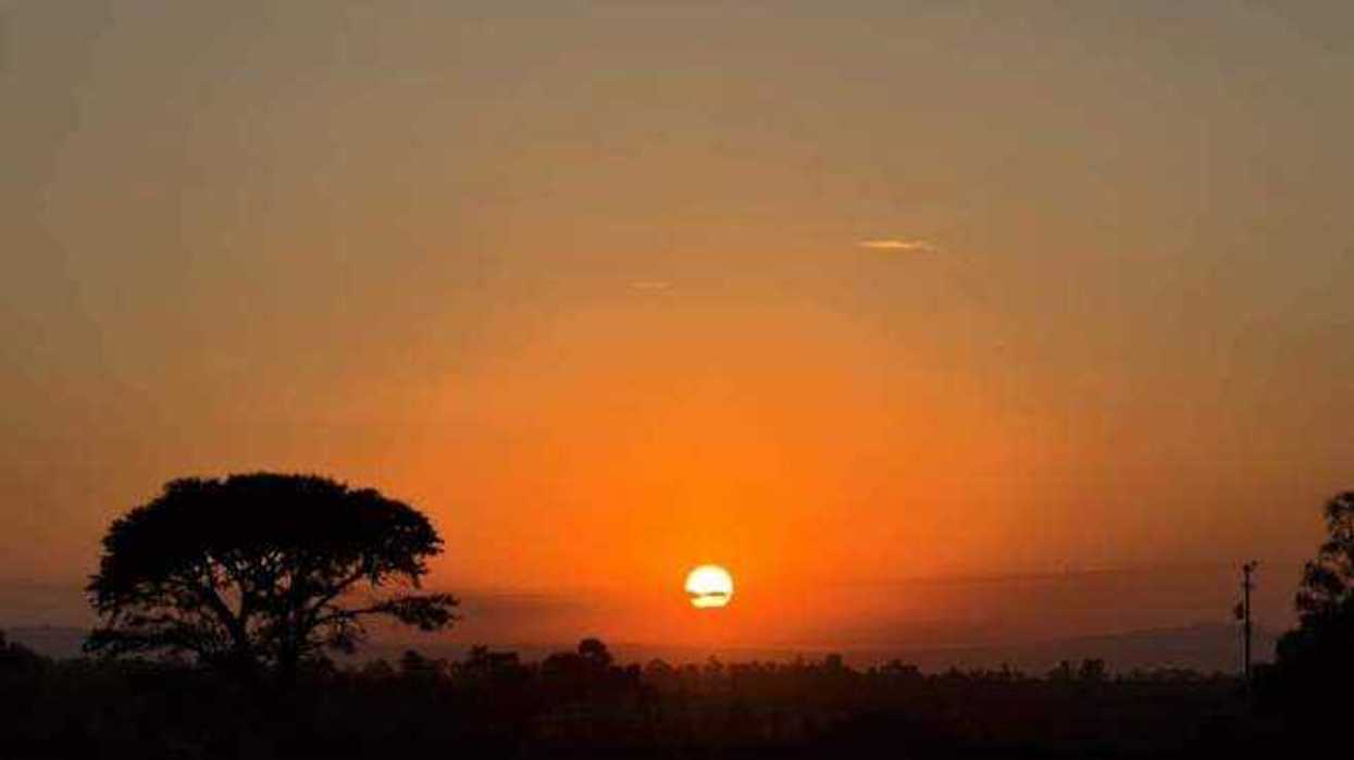 Alerta meteorológica: Rachas de hasta 80 km/h azotan México hoy.