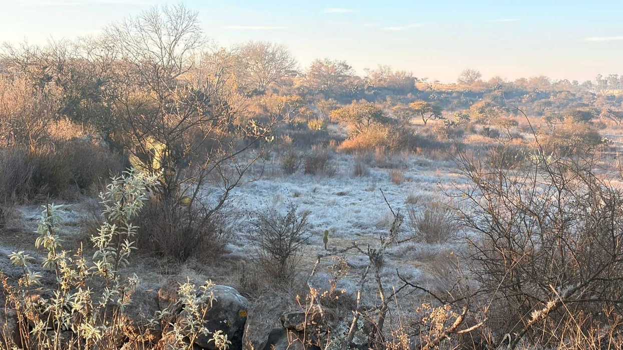 Amanecer frío con heladas en zona serrana de Querétaro e Hidalgo por efectos del frente frío 33 en febrero 2026