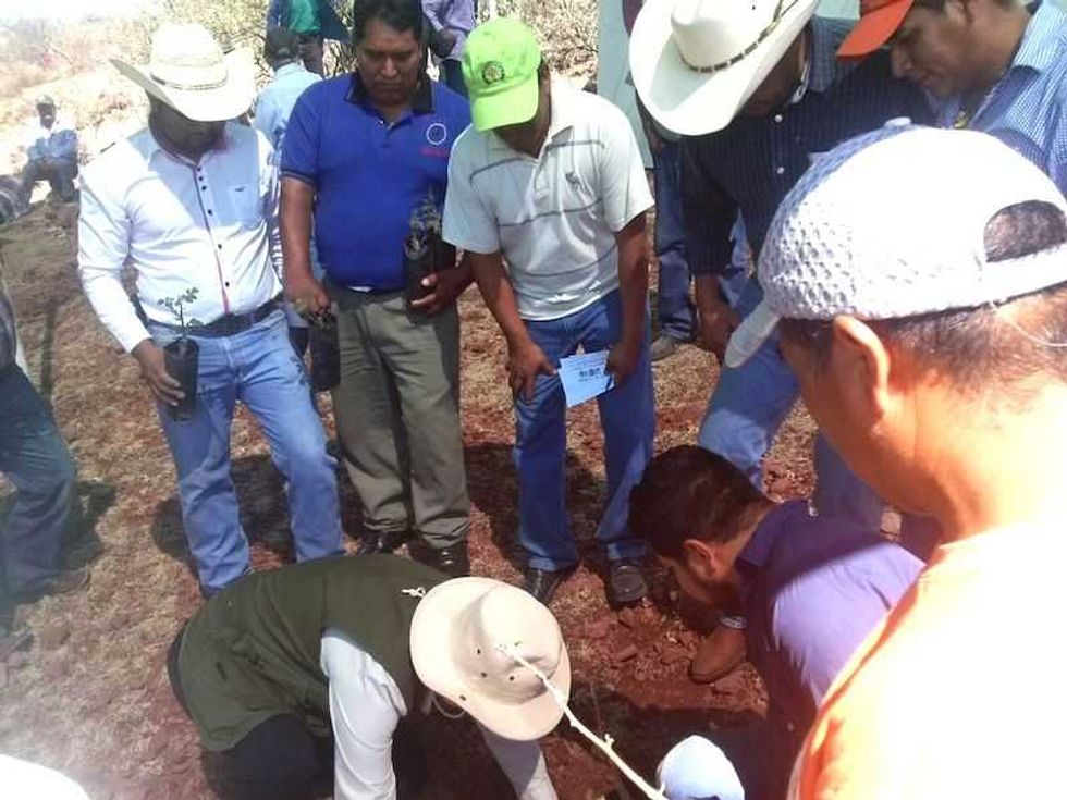 Ambientalistas realizan jornada de reforestacion en Pedro Escobedo__01
