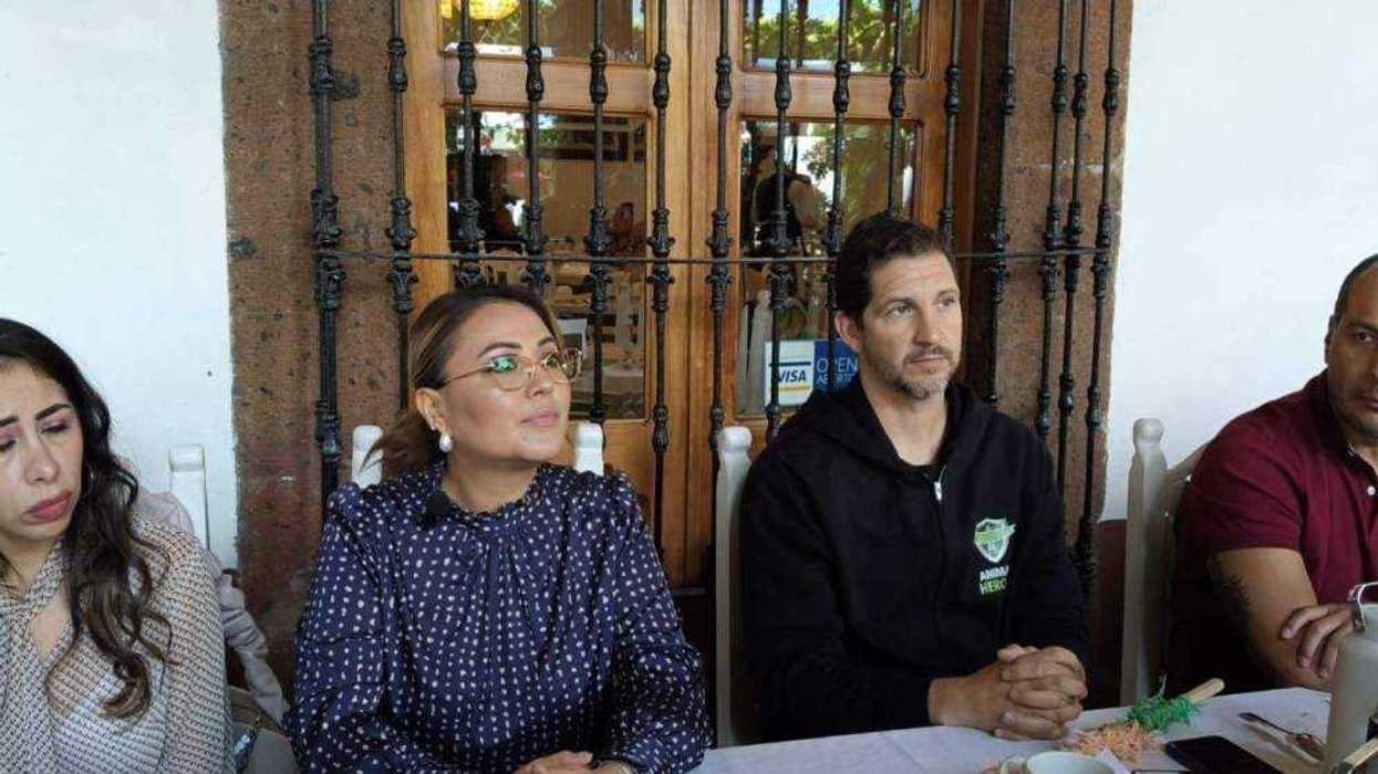 Animalistas y diputada anuncian amparos contra corridas de toros en la Feria San Juan 2025.