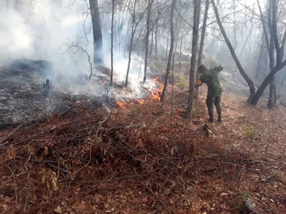 aplican plan dn iii e por incendios en queretaro durango y tabasco