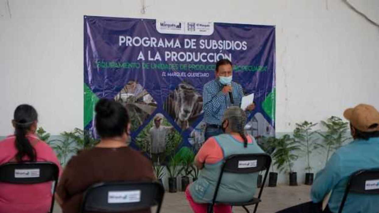 apoyos-agropecuarios