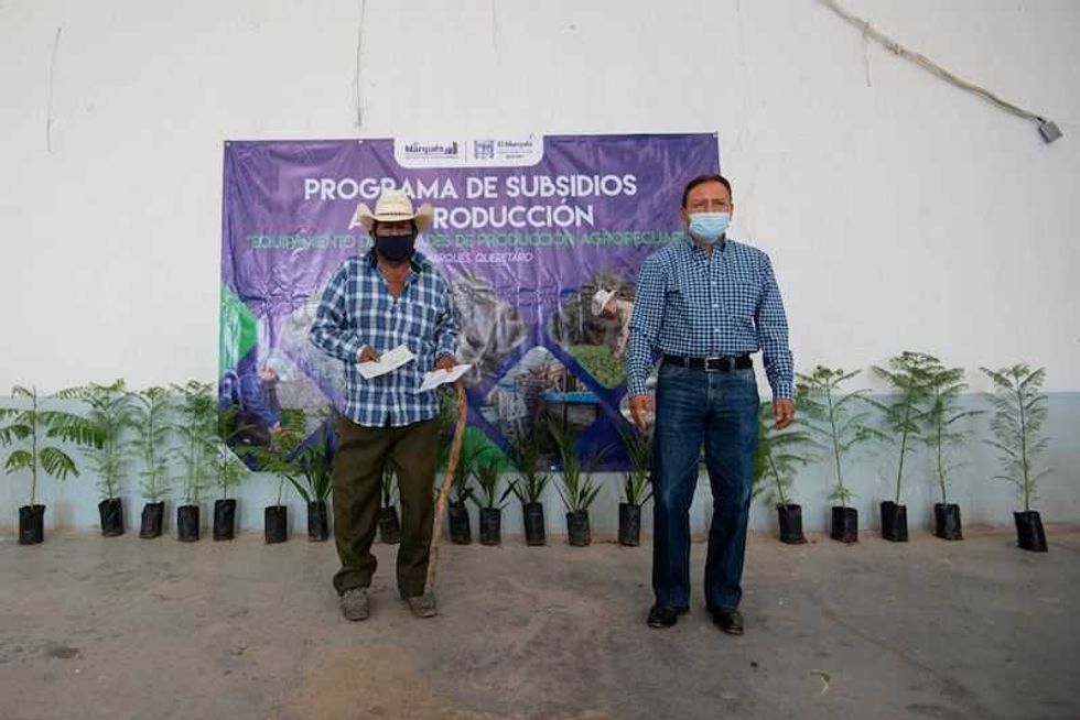 apoyos agropecuarios2