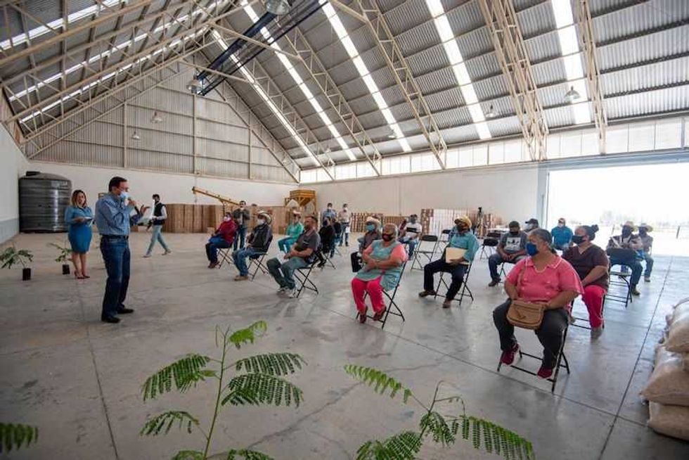 apoyos agropecuarios4