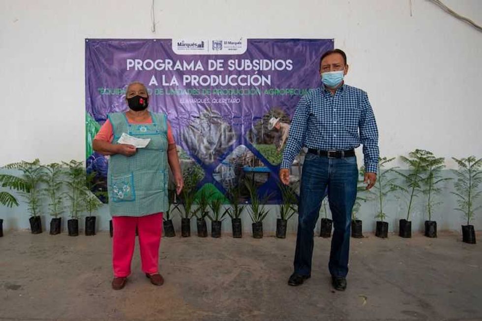 apoyos agropecuarios5