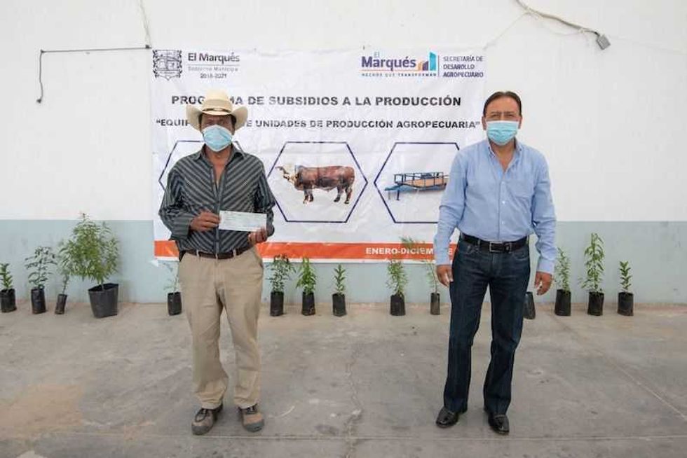 apoyos elmarques2
