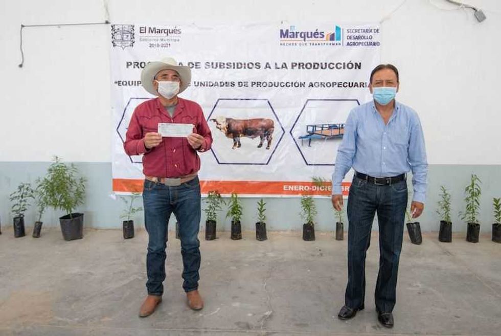 apoyos elmarques3