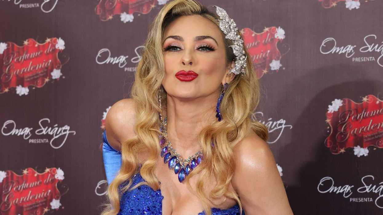 Aracely Arámbula cuenta cómo celebrará su cumpleaños 50 y niega debut musical de su primogénito. Foto: Ilustrativa/ Agencia México.