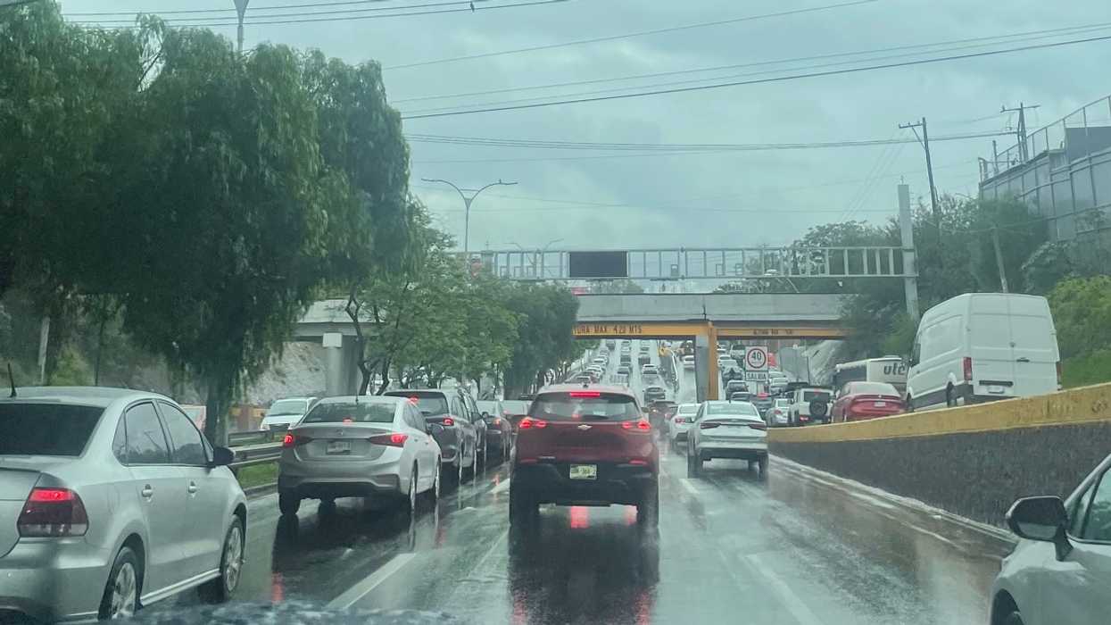 Árboles en el trazo de las obras del Tren México-Querétaro en el Centro Histórico de Querétaro