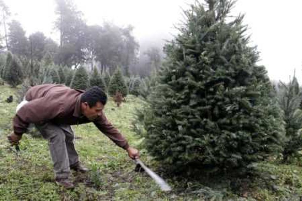 arboles-navidad-los-preferidos-2