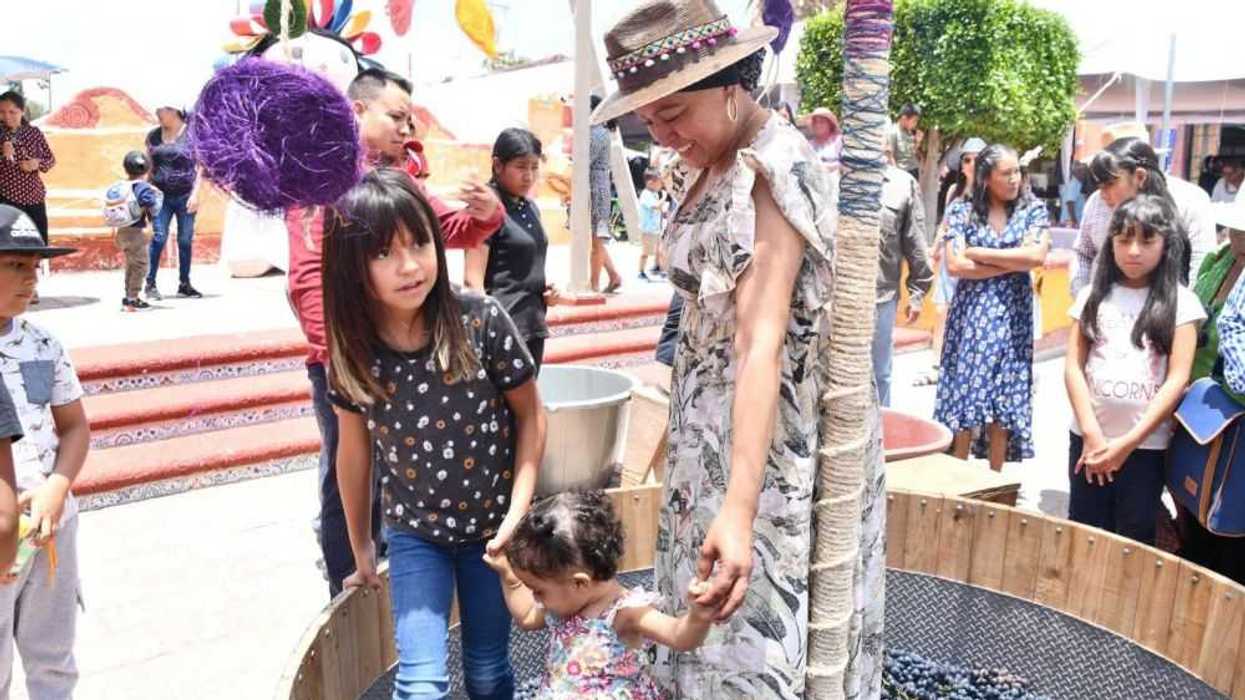 Arranca Festival Vinícola Bothë en Villa Progreso.