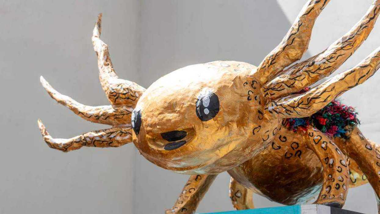 Arte juvenil queretano cobra vida en "Creajolote 2024".