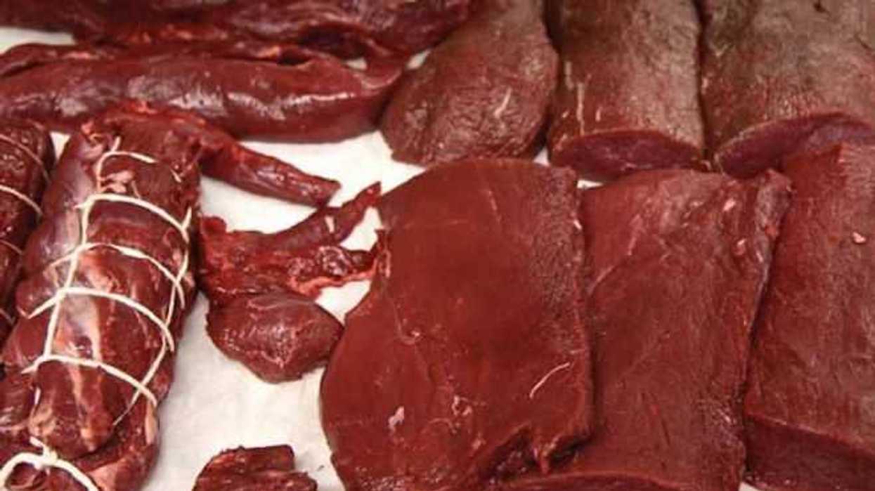 aseguran-carne-de-animales-silvestres