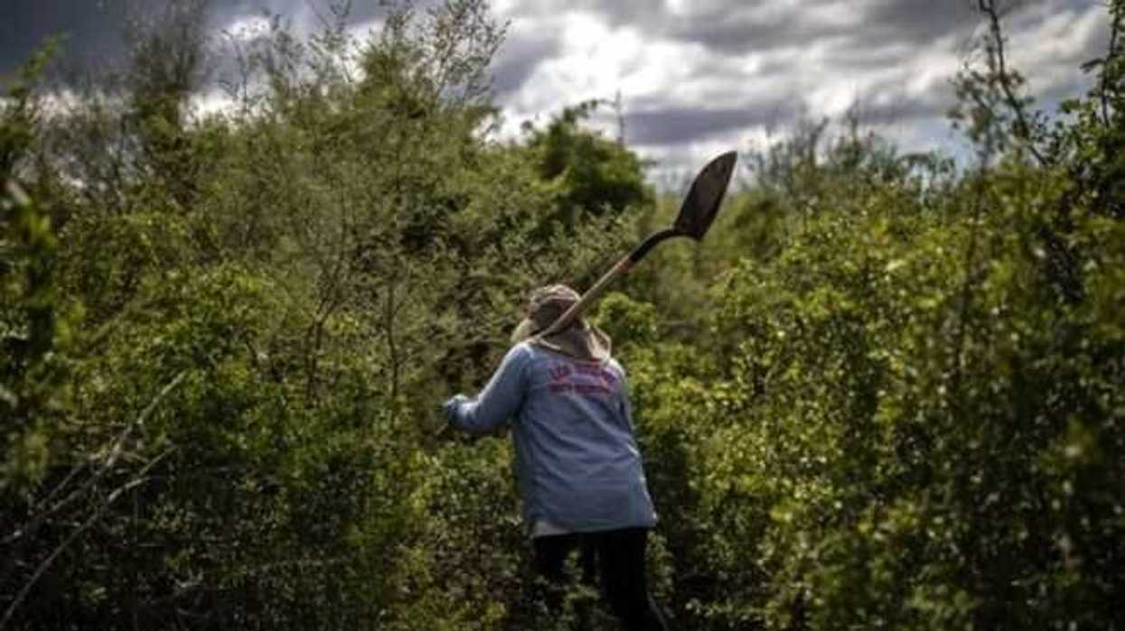asesinan-a-la-activista-zenaida-pulido-en-michoacan