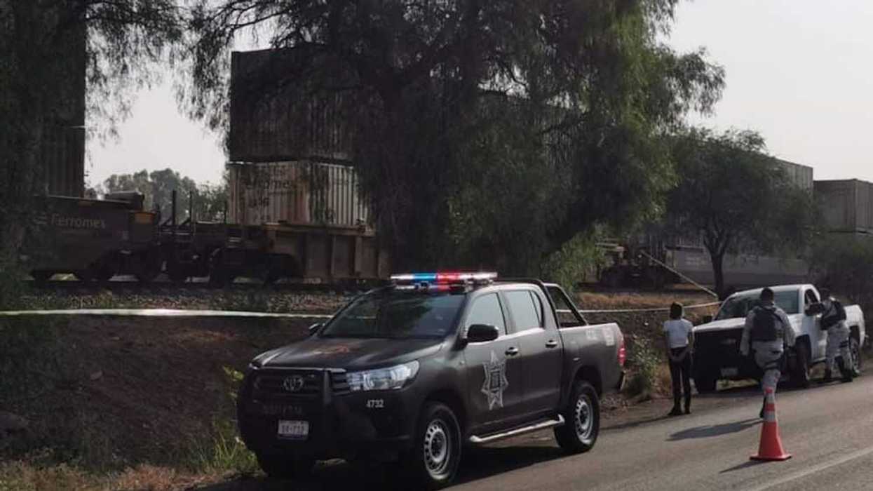 atropellado-el-marques