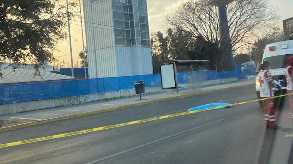 atropellado-paseo-central-2