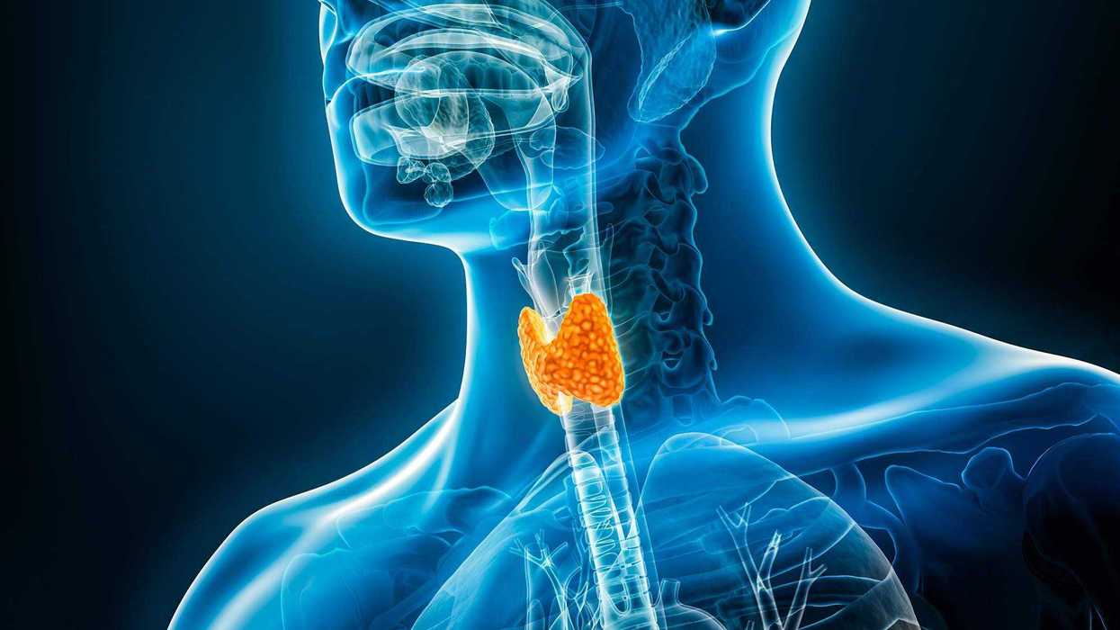 Autoridades de Salud alertan sobre detección oportuna de tiroides.