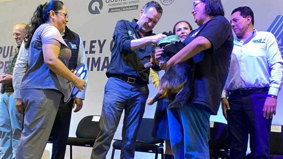 Autoridades estatales y municipales refrendan compromiso con bienestar animal durante evento del Croquetón Escolar 2025 en UTSJR.