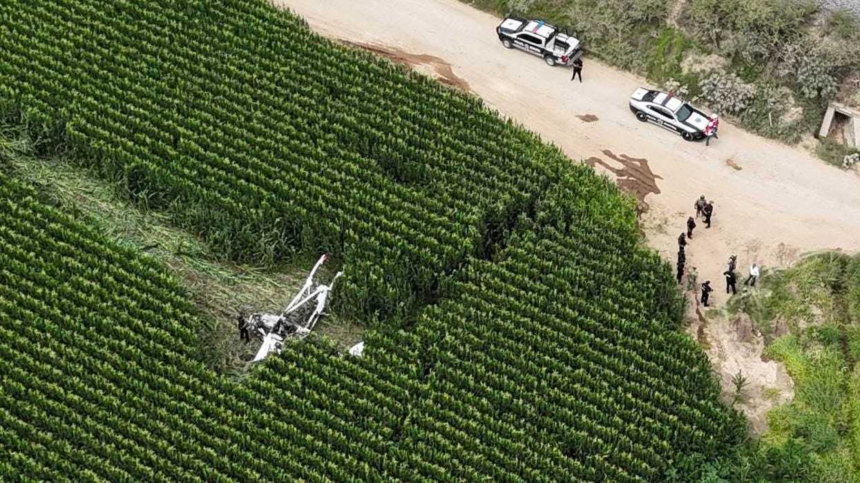 Avioneta fumigadora incendiada tras desplomarse en un sembradío de maíz en Santa Matilde, San Juan del Río.