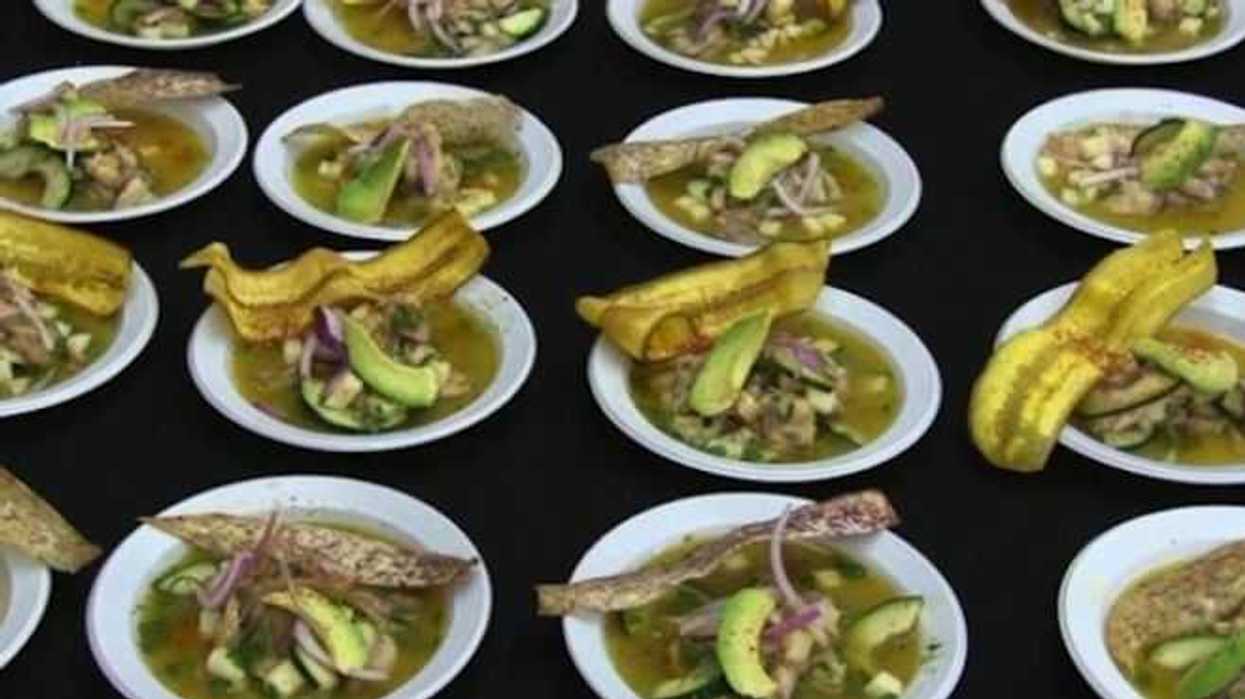 bagre-armado-opcion-alimentaria-en-tabasco