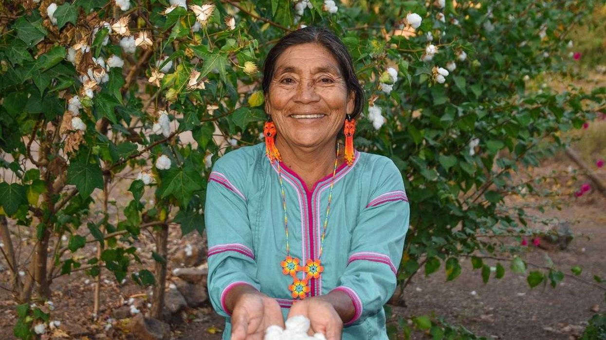 Beneficiarias reciben Tarjeta de Bienestar para cobro de Pensión Mujeres Bienestar en módulo de atención federal.