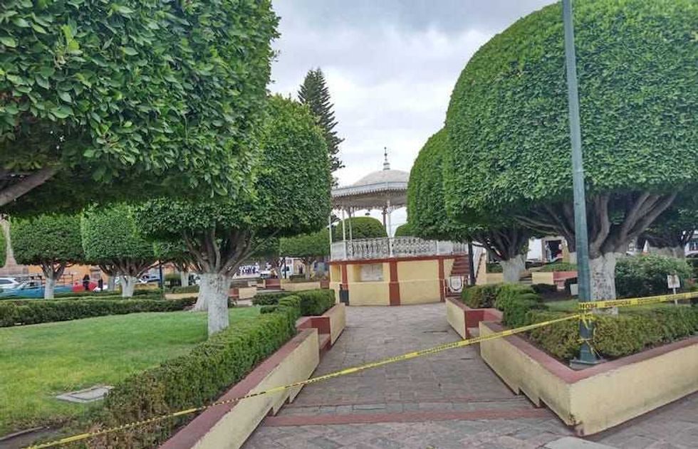 Beneplácito y entusiasmo, causa reactivación de actividades