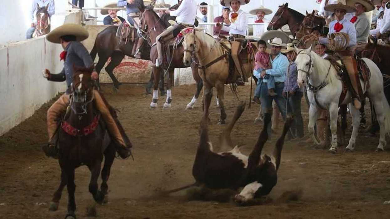 bigotones-lider-del-estatal-charro-de-jalisco-1