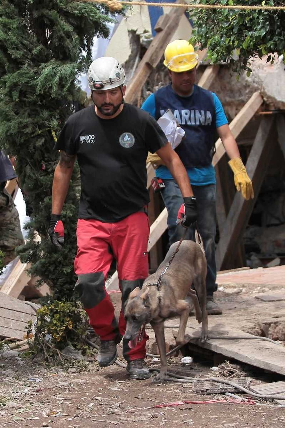 binomio canino aguascalientes apoya en labores rescate 2
