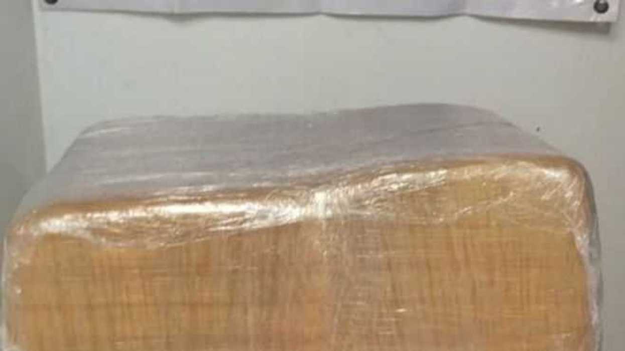 binomio-canino-intercepta-cargamento-de-marihuana-en-cancun